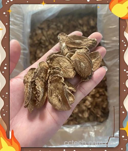 牛蒡根功效与作用原料介绍食用指导