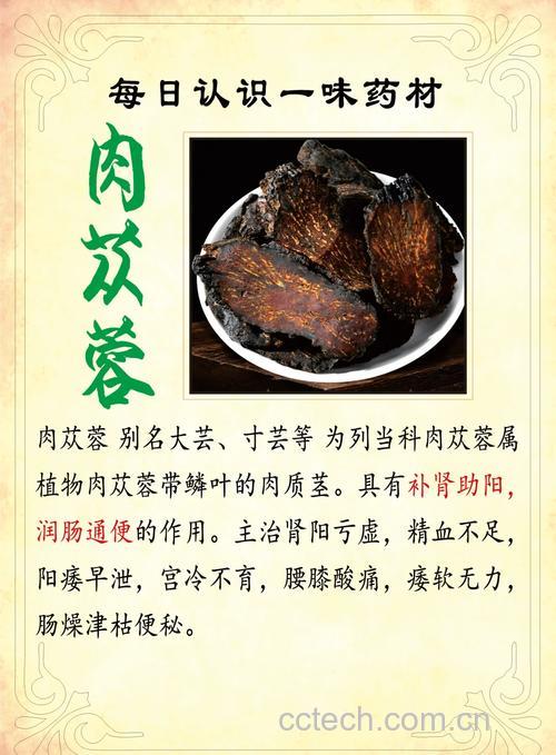 肉苁蓉功效与作用原料介绍适宜人群食用指导食材文化