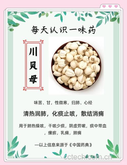 川贝母功效与作用原料介绍营养分析适宜人群食用指导食疗作用食材文化