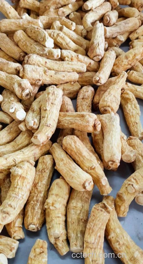 西洋参功效与作用原料介绍营养分析适宜人群食用指导食疗作用食材文化