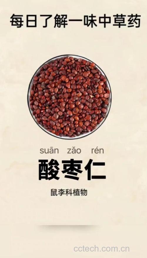 酸枣仁功效与作用原料介绍食用指导食材文化