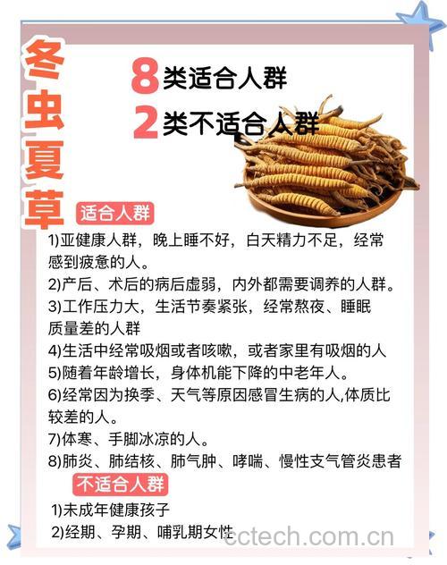 冬虫夏草功效与作用原料介绍适宜人群食用指导食材文化