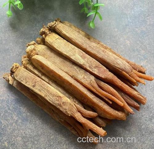高丽参功效与作用原料介绍营养分析适宜人群食疗作用食材文化