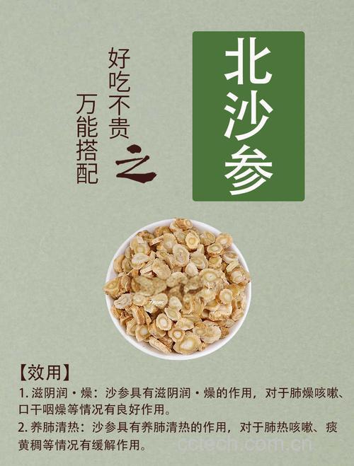 北沙参功效与作用原料介绍营养分析适宜人群食用指导食疗作用食材文化