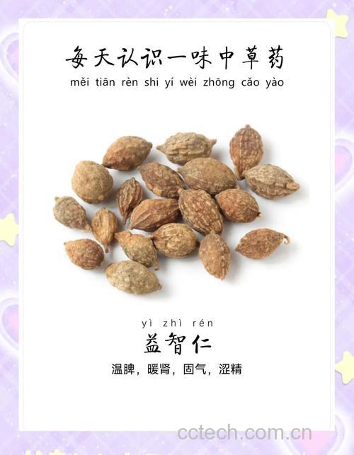 益智仁功效与作用原料介绍适宜人群食用指导食材文化