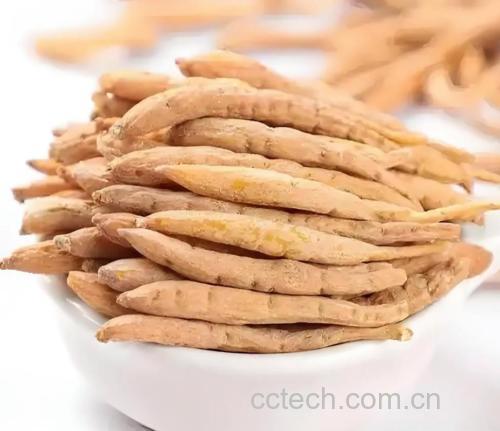 太子参功效与作用原料介绍适宜人群食用指导食疗作用食材文化