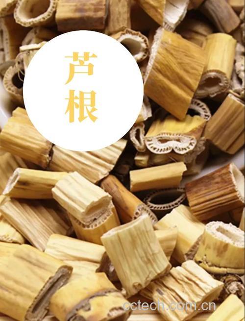 芦根功效与作用原料介绍食用指导食材文化