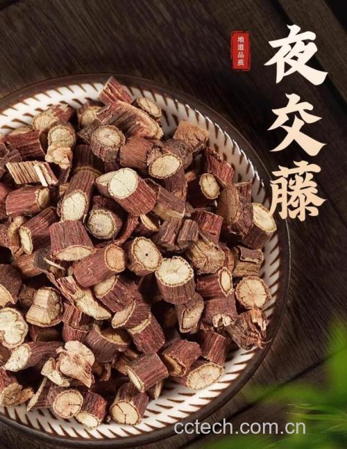 夜交藤功效与作用原料介绍适宜人群食用指导食材文化