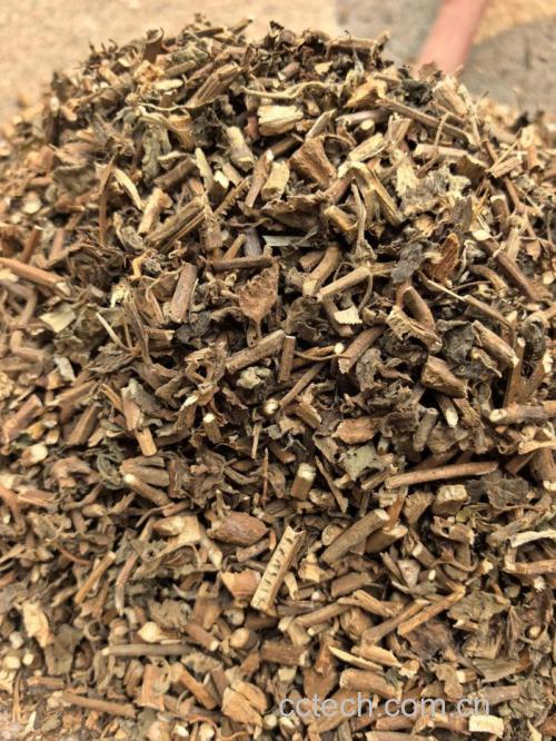 藿香功效与作用原料介绍适宜人群食用指导食疗作用食材文化