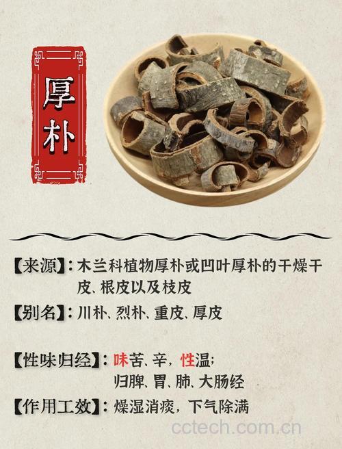 厚朴功效与作用原料介绍食用指导食材文化