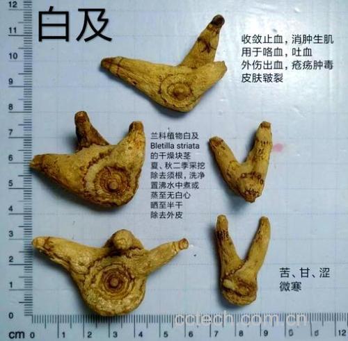 白及功效与作用原料介绍适宜人群食用指导食疗作用食材文化