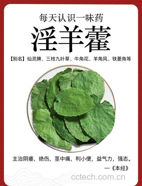淫羊藿功效与作用原料介绍营养分析食用指导食材文化