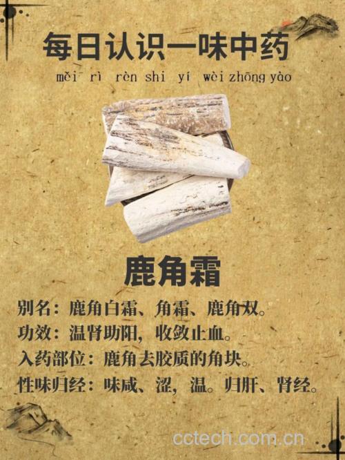 鹿角霜功效与作用原料介绍营养分析适宜人群食用指导食材文化