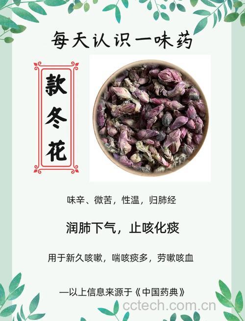 款冬花功效与作用原料介绍食用指导食材文化