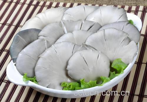 平菇功效与作用原料介绍营养分析食用指导食材文化