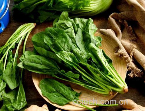 菠菜功效与作用原料介绍营养分析适宜人群食用指导食材文化