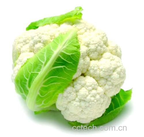 菜花功效与作用原料介绍营养分析适宜人群食用指导食材文化
