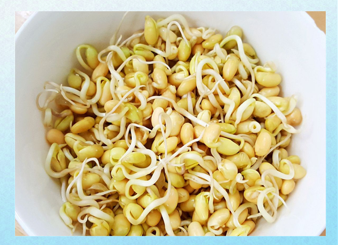黄豆芽功效与作用原料介绍营养分析食用指导食材文化