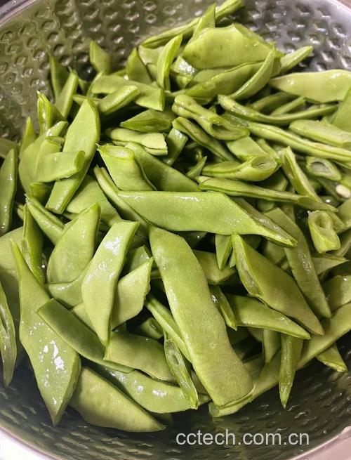 四季豆功效与作用原料介绍营养分析适宜人群食用指导食材文化