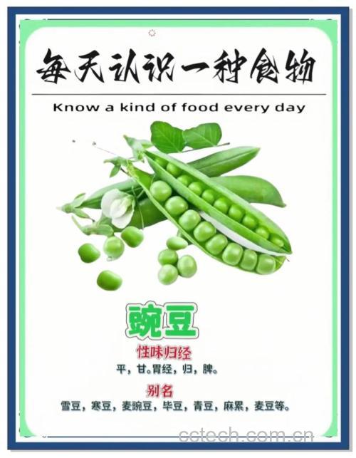 豌豆功效与作用原料介绍营养分析食用指导