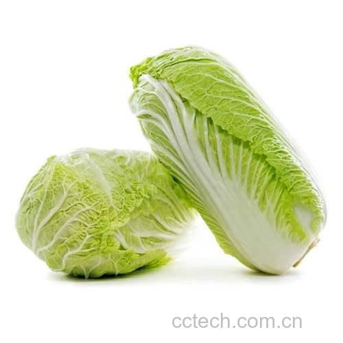 白菜功效与作用原料介绍营养分析适宜人群食用指导食疗作用食材文化