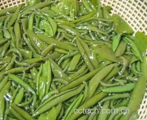莼菜功效与作用原料介绍营养分析适宜人群食用指导食疗作用食材文化