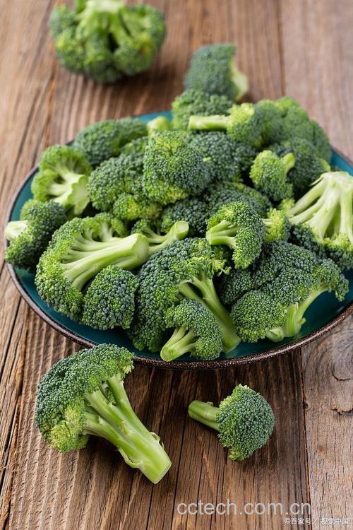 西兰花功效与作用原料介绍营养分析