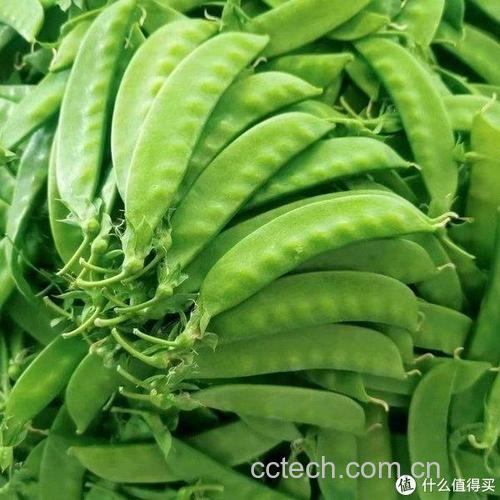 荷兰豆功效与作用原料介绍适宜人群食用指导食材文化