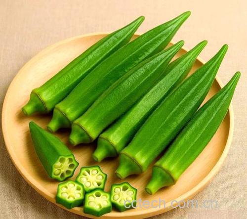 秋葵功效与作用原料介绍营养分析适宜人群食用指导