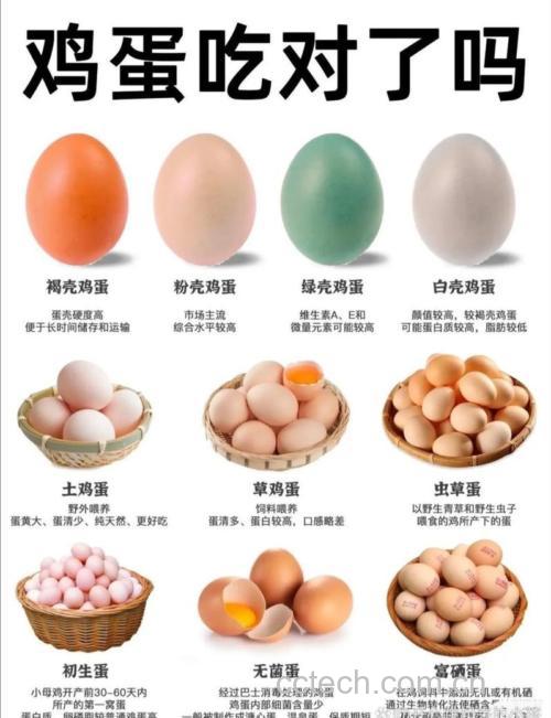 鸡蛋功效与作用原料介绍营养分析适宜人群食用指导食疗作用食材文化