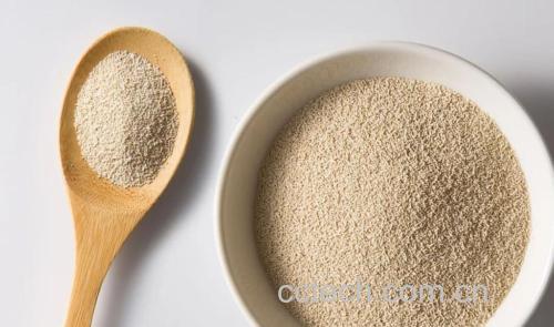 酵母功效与作用原料介绍营养分析适宜人群食用指导食疗作用