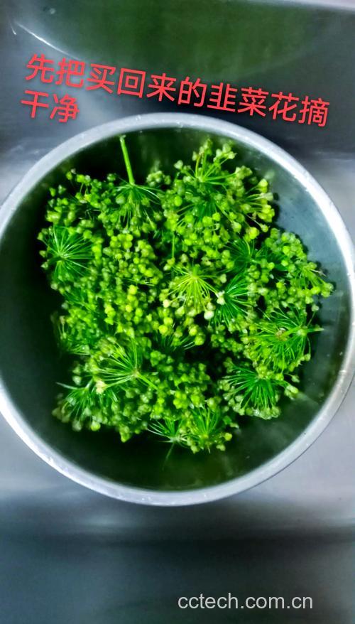 腌韭菜花功效与作用原料介绍营养分析适宜人群食疗作用