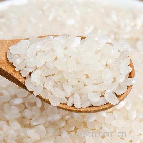 大米功效与作用原料介绍营养分析适宜人群食用指导食疗作用食材文化