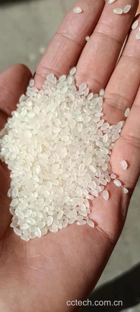 粳米功效与作用原料介绍营养分析适宜人群食用指导食疗作用食材文化