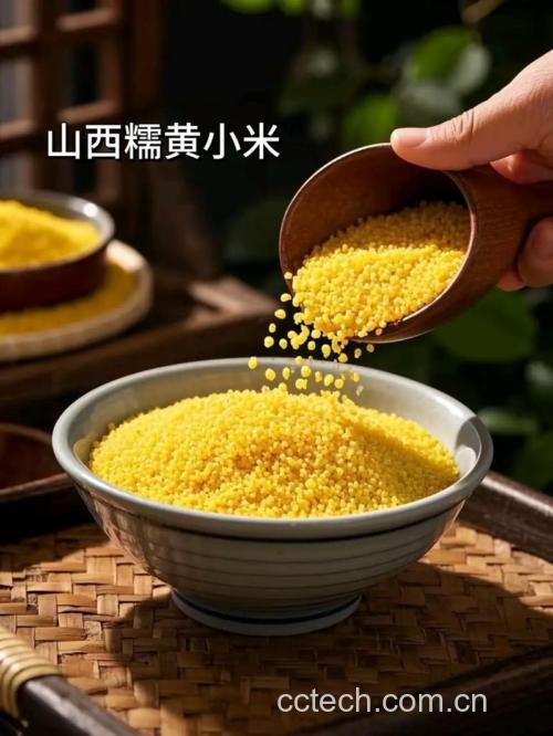 小米功效与作用原料介绍营养分析适宜人群食用指导食材文化