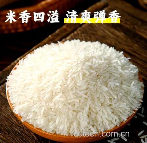香米功效与作用原料介绍营养分析适宜人群食用指导食材文化