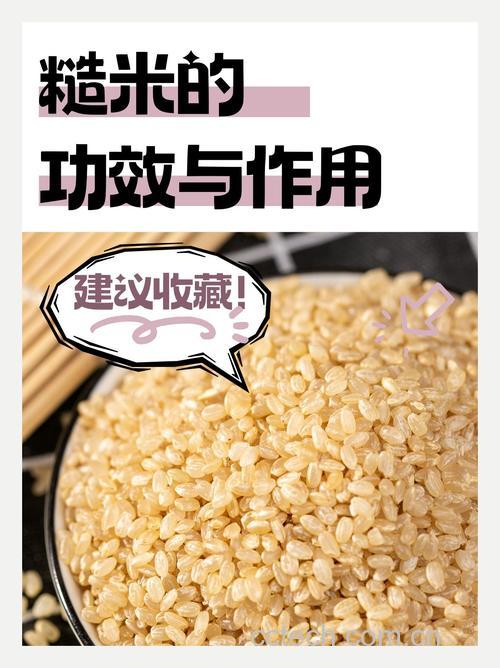 糙米功效与作用原料介绍营养分析适宜人群食用指导食疗作用食材文化