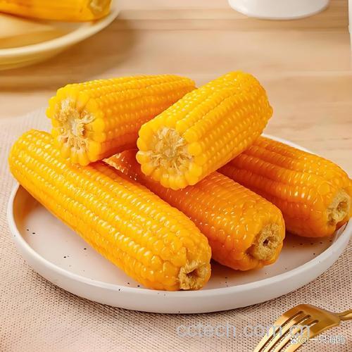 玉米(鲜)功效与作用原料介绍营养分析适宜人群食用指导食疗作用食材文化