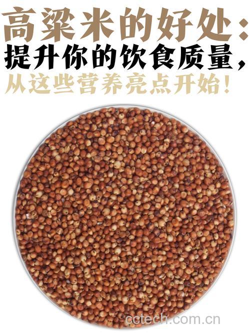 高粱米功效与作用原料介绍营养分析食用指导食材文化