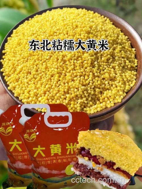 黄米功效与作用原料介绍营养分析食用指导