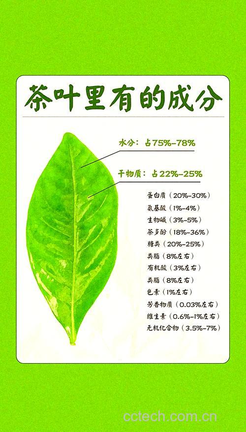 茶叶功效与作用原料介绍营养分析食用指导食材文化