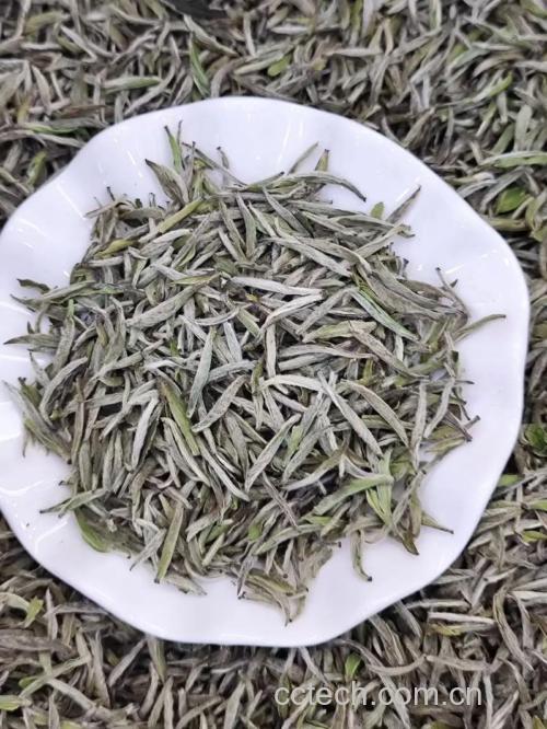 白毫银针功效与作用原料介绍营养分析适宜人群食材文化