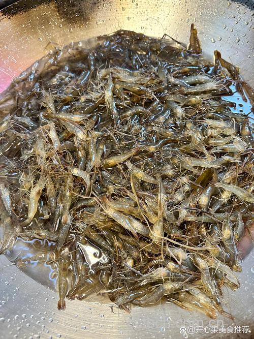 河虾功效与作用原料介绍营养分析适宜人群食用指导食疗作用食材文化