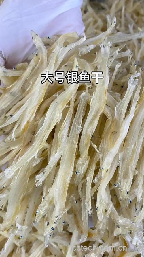 银鱼干功效与作用原料介绍营养分析食用指导食材文化