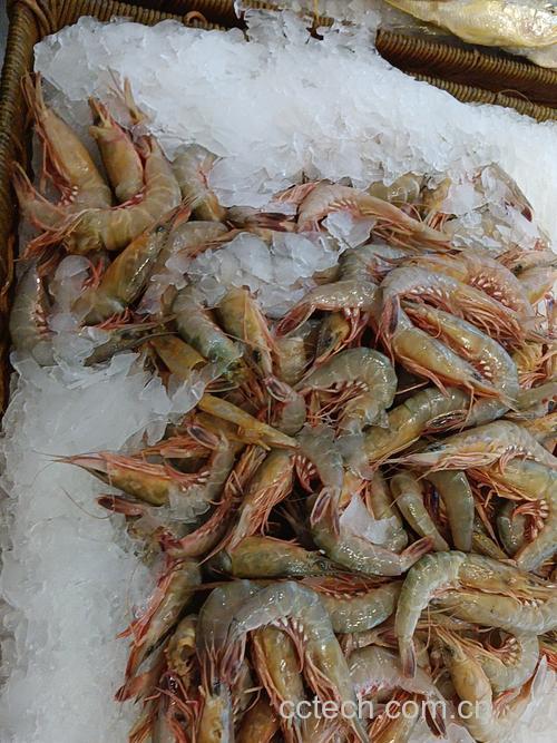 海虾功效与作用原料介绍营养分析适宜人群食用指导食疗作用食材文化
