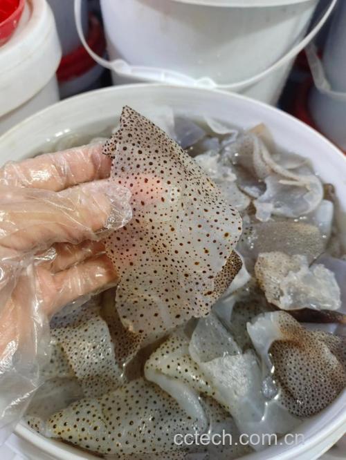 海蜇皮功效与作用原料介绍营养分析适宜人群食用指导食疗作用食材文化