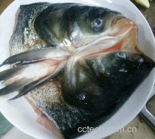 鲢鱼头功效与作用原料介绍营养分析适宜人群食用指导食疗作用食材文化