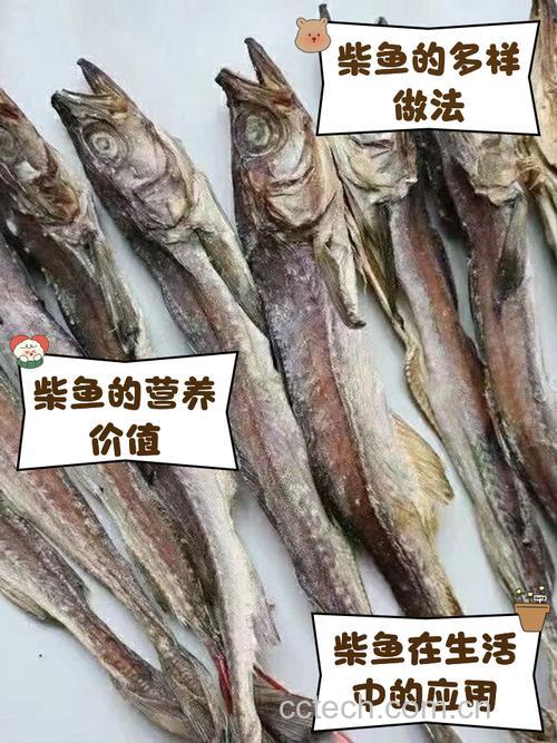 柴鱼功效与作用原料介绍适宜人群