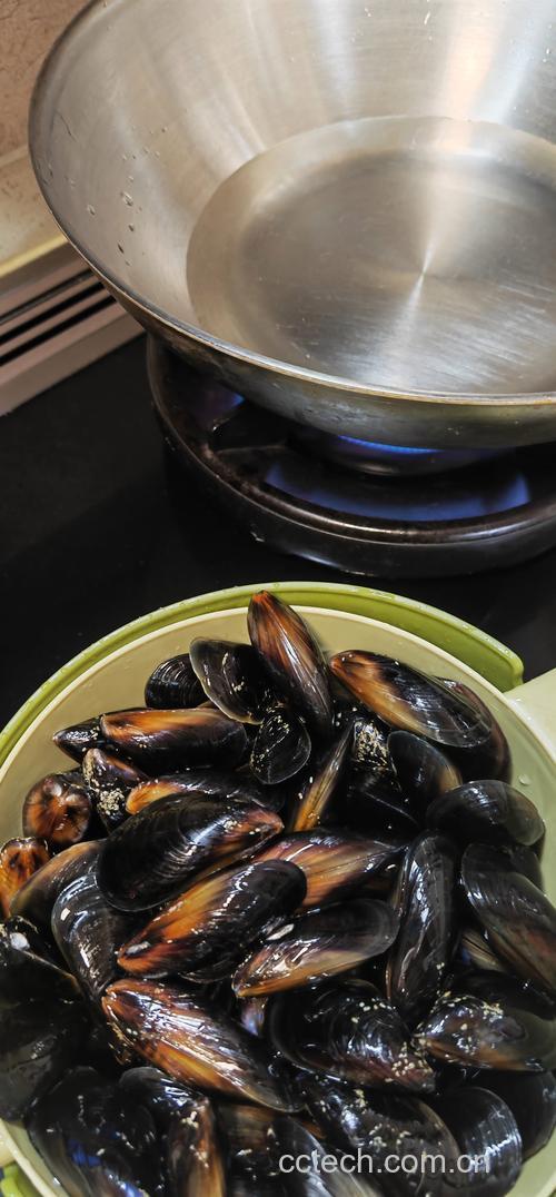 淡菜(干)功效与作用原料介绍营养分析适宜人群食用指导食材文化