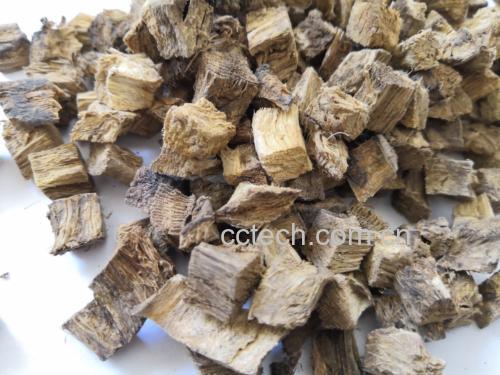 高清微距摄影:展示柴葛根饮片标准特征——直径1.5–3cm厚片,边缘微卷曲,断面中心木质部呈淡黄色,周围淀粉质呈乳白色,放射状纹理清晰如菊花,表面可见细密纵向沟纹及残留栓皮 柴葛根饮片特写:表面浅棕色纵皱纹明显,断面呈黄白色,可见放射状“菊花心”纹理及密集淀粉粒闪光点
